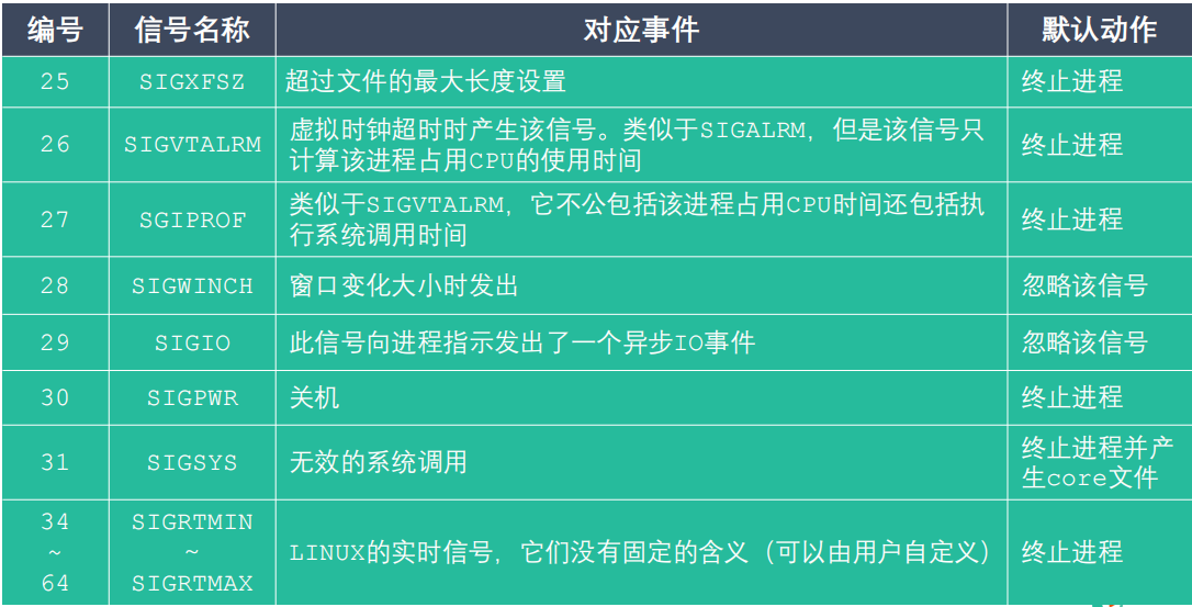 image-20211005171255782